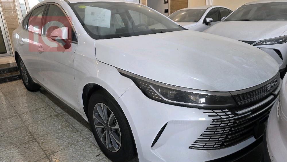 بي واي دي ديستروير 05